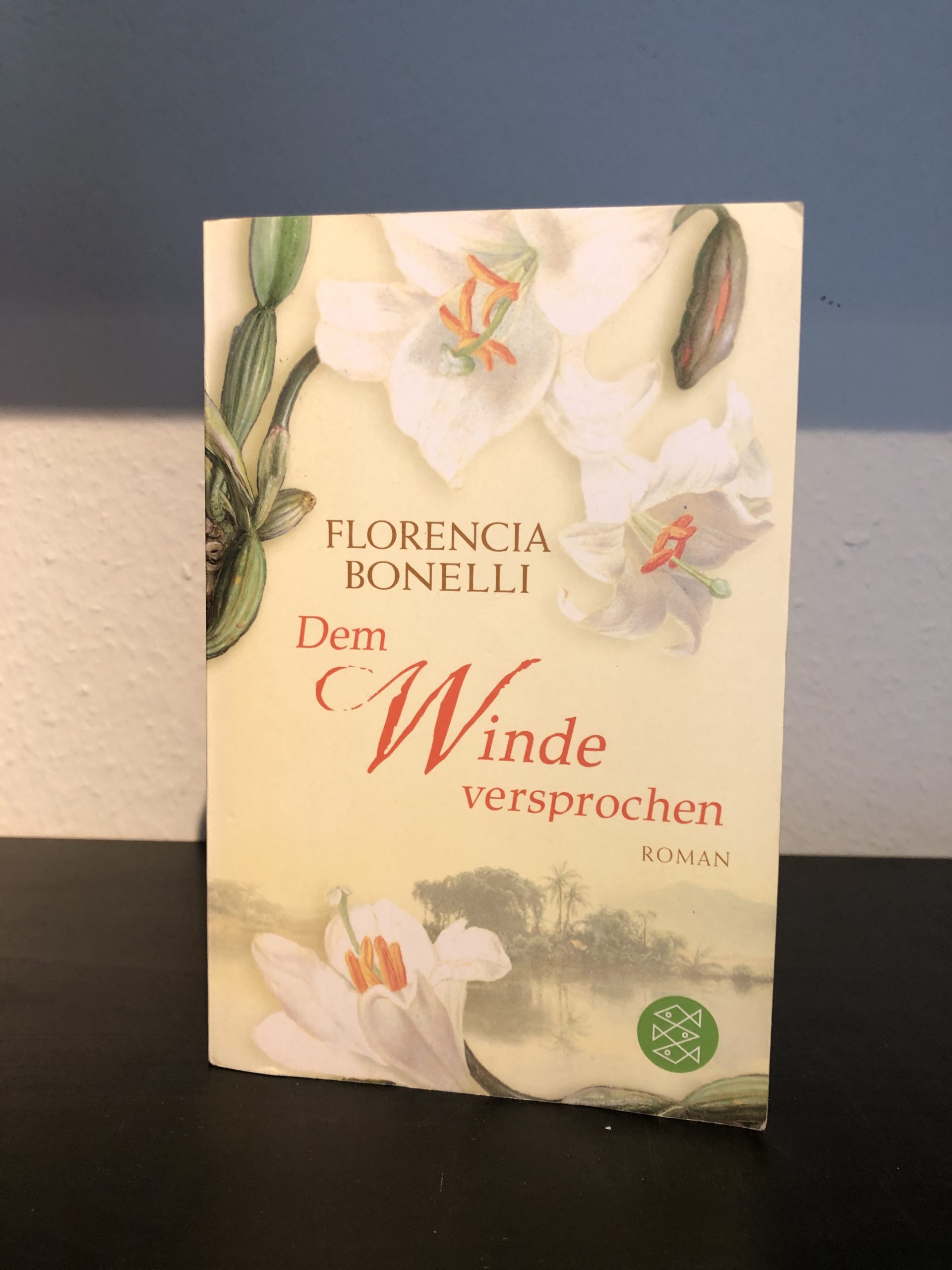 Dem Winde versprochen - Florencia Bonelli